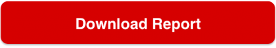 downloadreport button